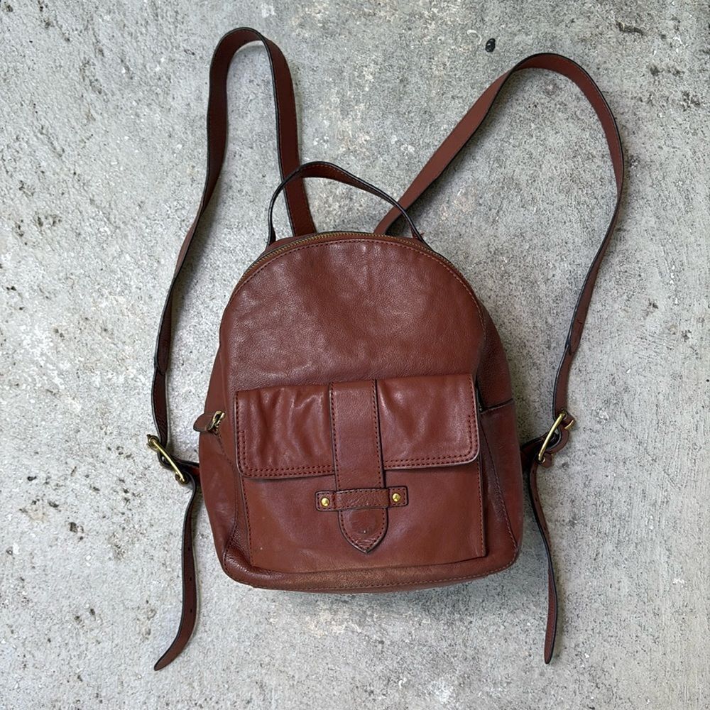 Frye Olivia Brown bag